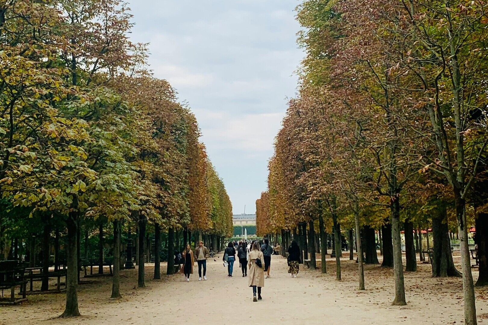 Chestnut trees in full bloom lining the Tuileries Garden in May