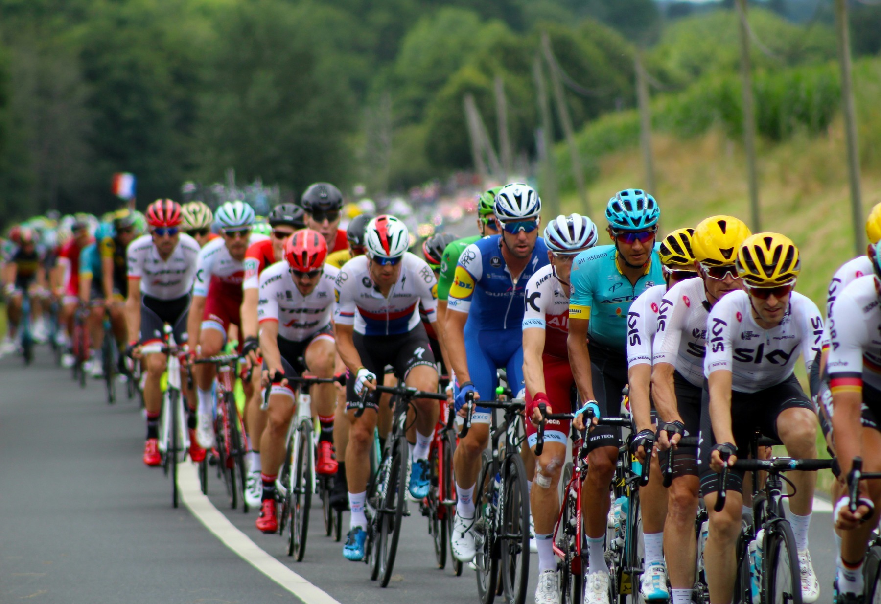 The Tour de France peloton riding together in close formation along an open road during a stage
