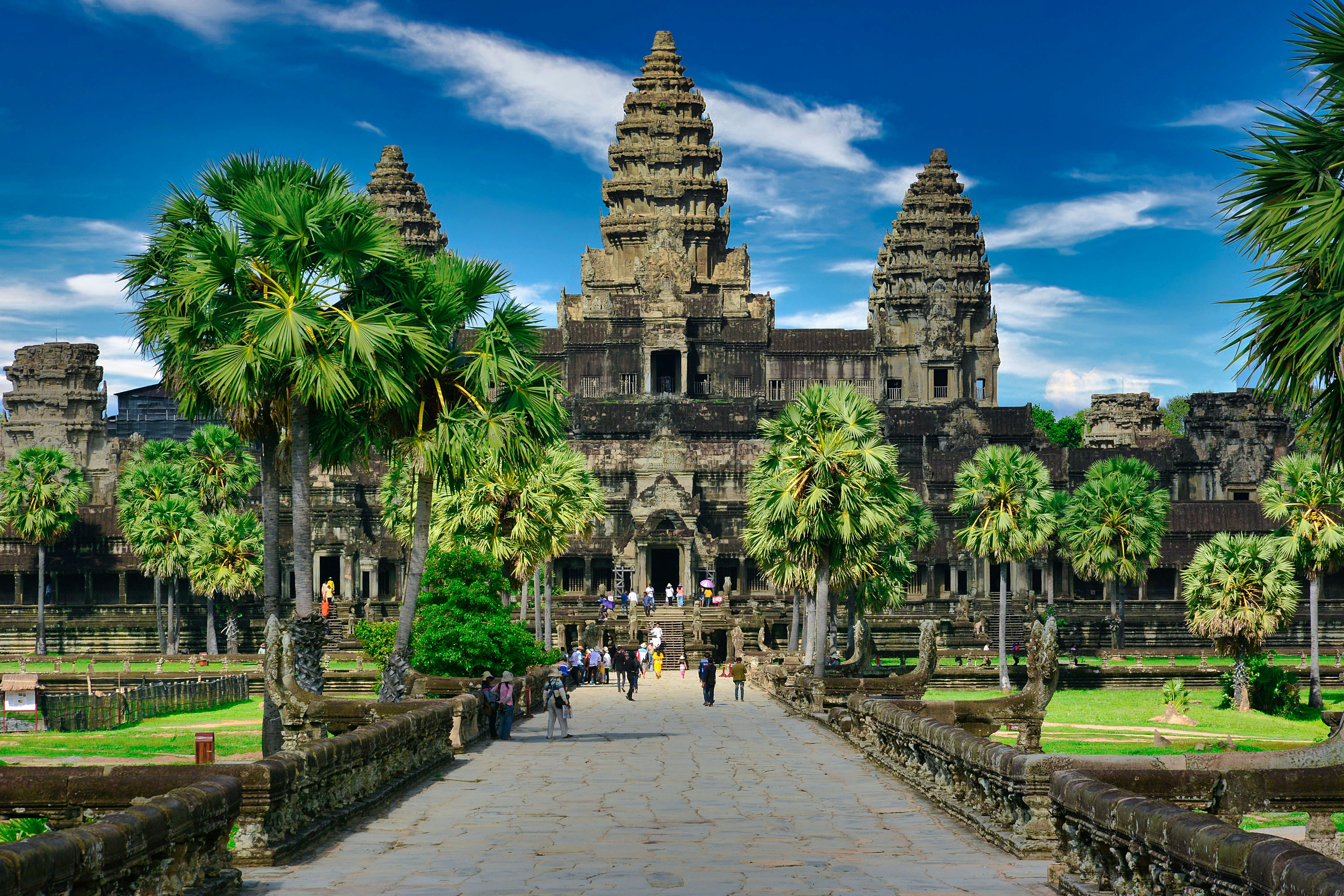 Palm-lined stone causeway leading to the entrance of Angkor Wat