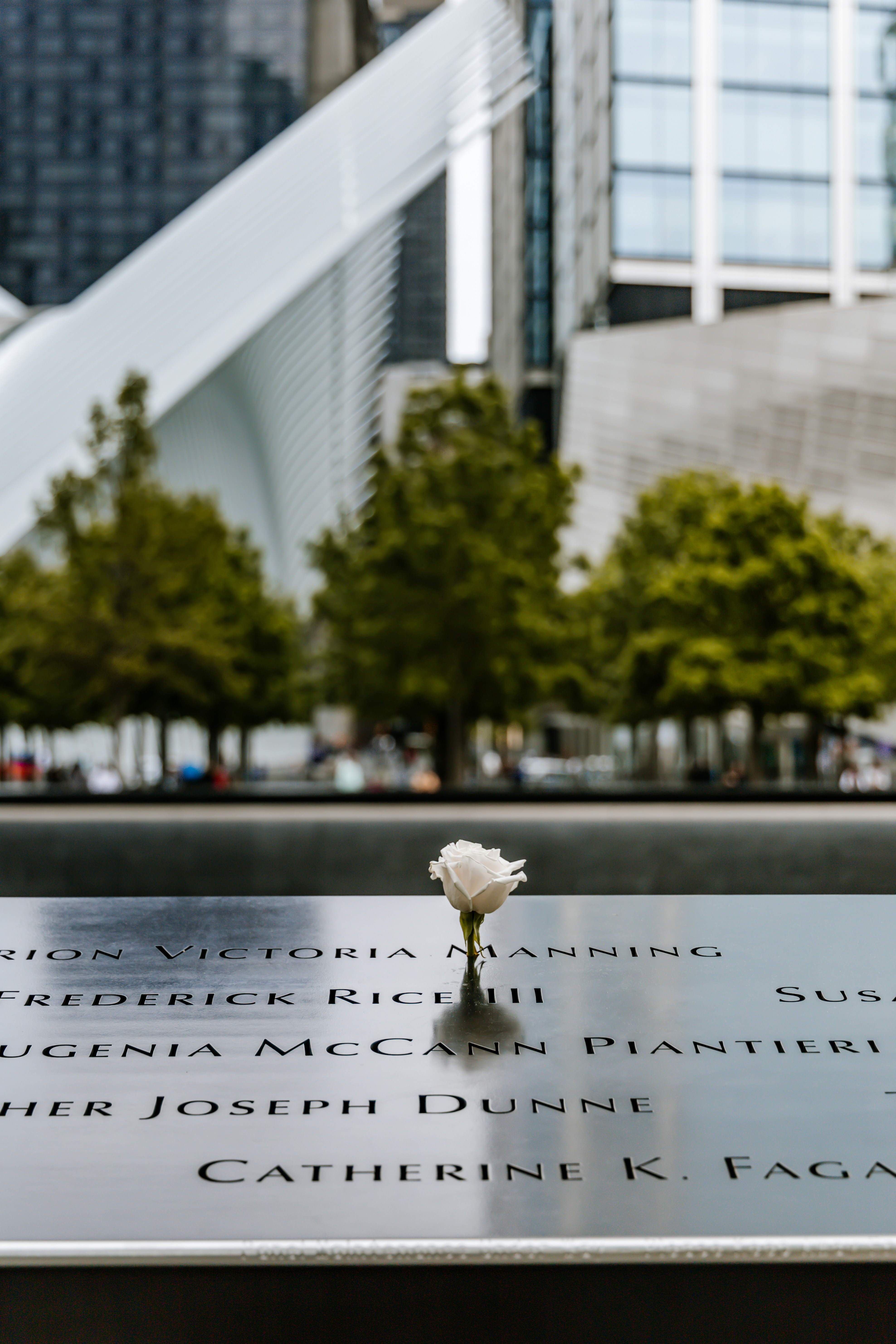 A white rose placed against an inscribed name on the Memorial's parapet, with the Oculus and Lower Manhattan skyline behind