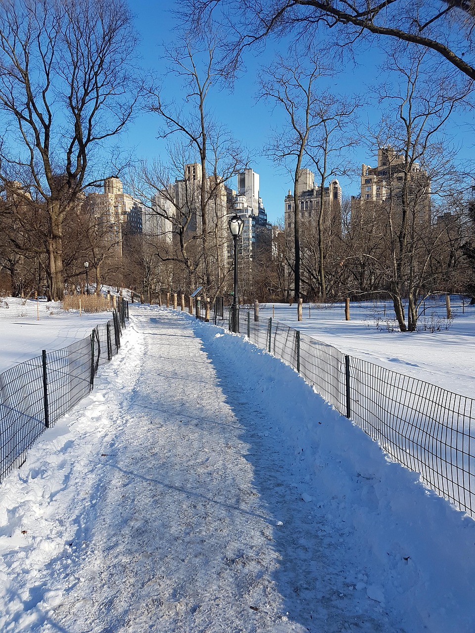 A snow-covered path through Central Park in winter