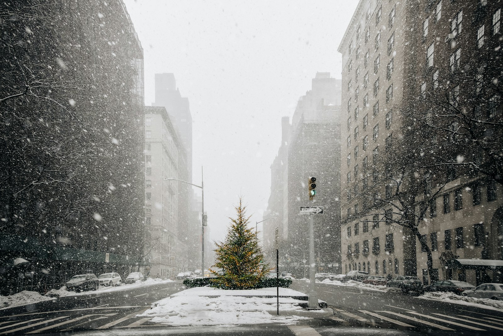 A small Christmas tree lit up on a snowy Park Avenue median